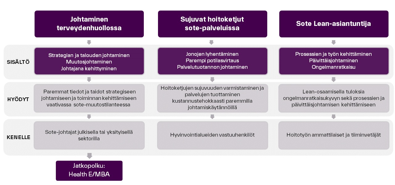 Sote-ohjelmien erot Aalto EE:ssä